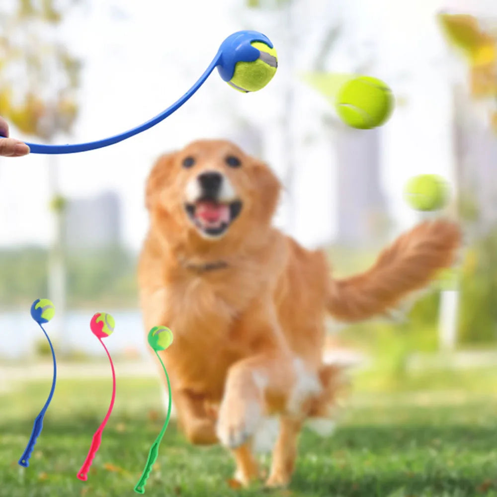Hands-Free Dog Ball Launcher & Retriever, Outdoor Interactive Ball Thrower for Training