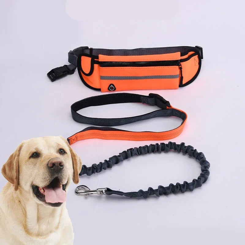 Hands-Free Reflective Dog Leash with Waist Bag – Retractable Elastic Belt for Running, Walking & Jogging