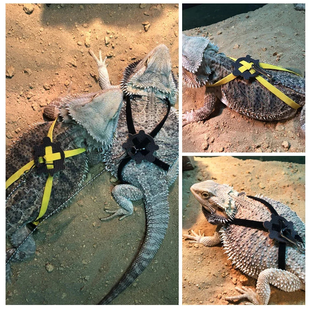 Adjustable Lizard Leash 1.2m (47in) Nylon Traction Rope for Small Reptiles & Exotic Pets
