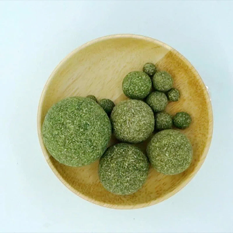 Edible Catnip Ball – Safe Chewable Cat Toy for Dental Health & Interactive Play