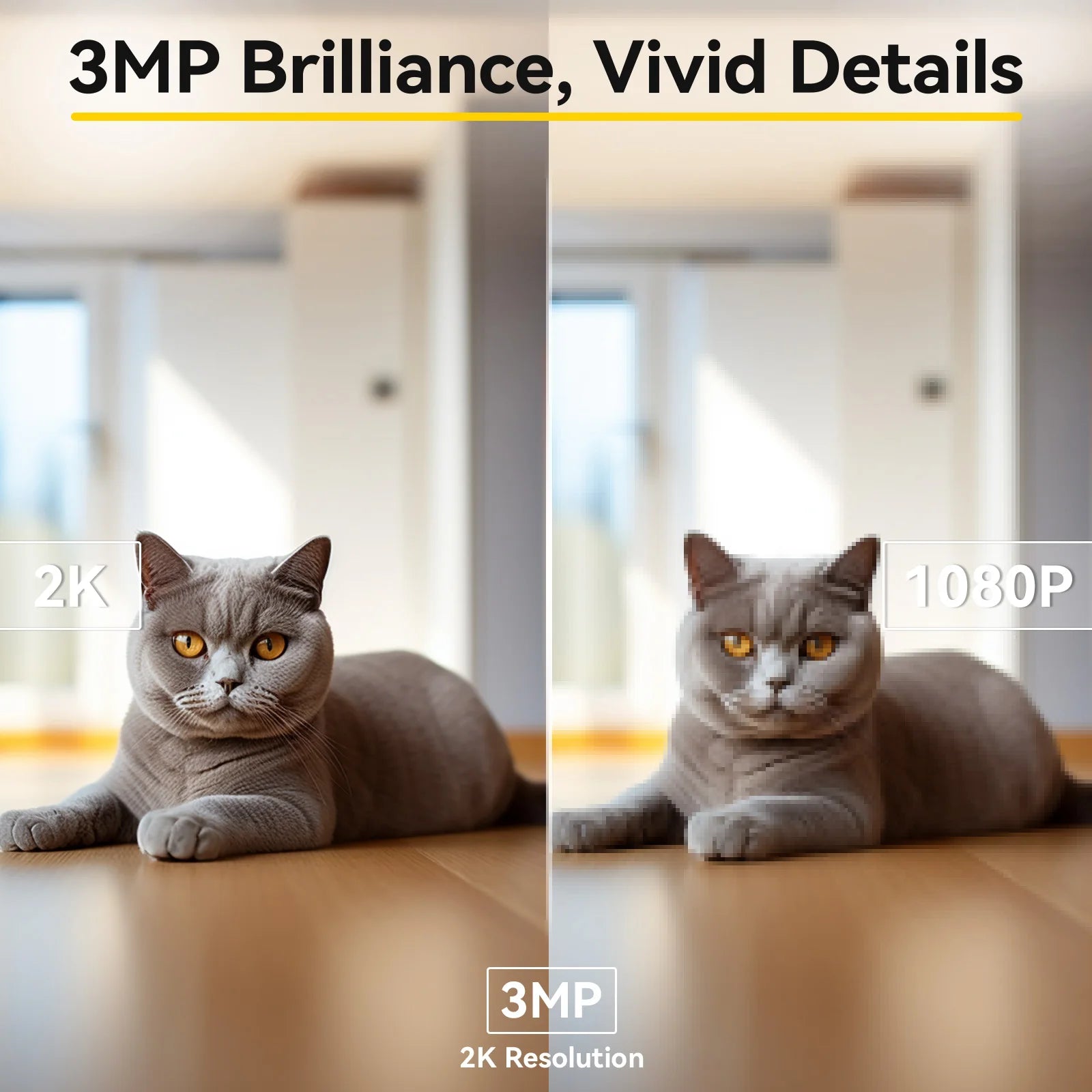2K WiFi Pet Camera with Phone App — 360° Pan & Tilt Indoor Security & Baby Monitor, 2-Way Audio, Color Night Vision (5GHz/2.4GHz)