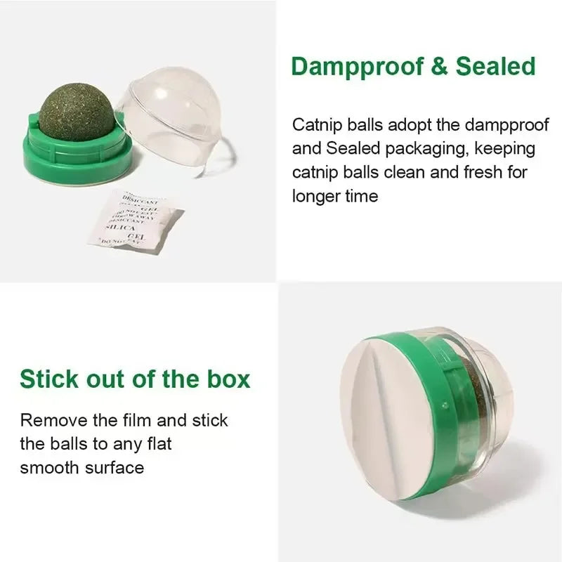 Wall-Mounted Catnip Ball Toy for Cats — 3 cm (1.2 in) Mint Ball, 4.5 cm (1.8 in) Base • Self-Rotating Interactive Cat Toy for Scratching & Dental Health