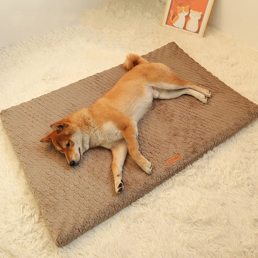 Short Plush Removable Washable Pet Bed - High Elasticity Non-Collapse Cushion for Small and Medium Dogs and Cats