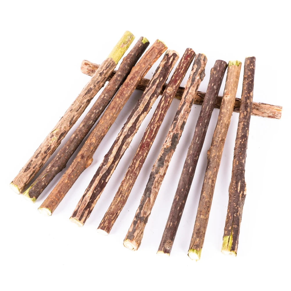 Silvervine Chew Sticks for Cats — Natural Catnip Alternative Dental & Molar Chew Toys for Cats & Kittens (10/15/20-Pack)
