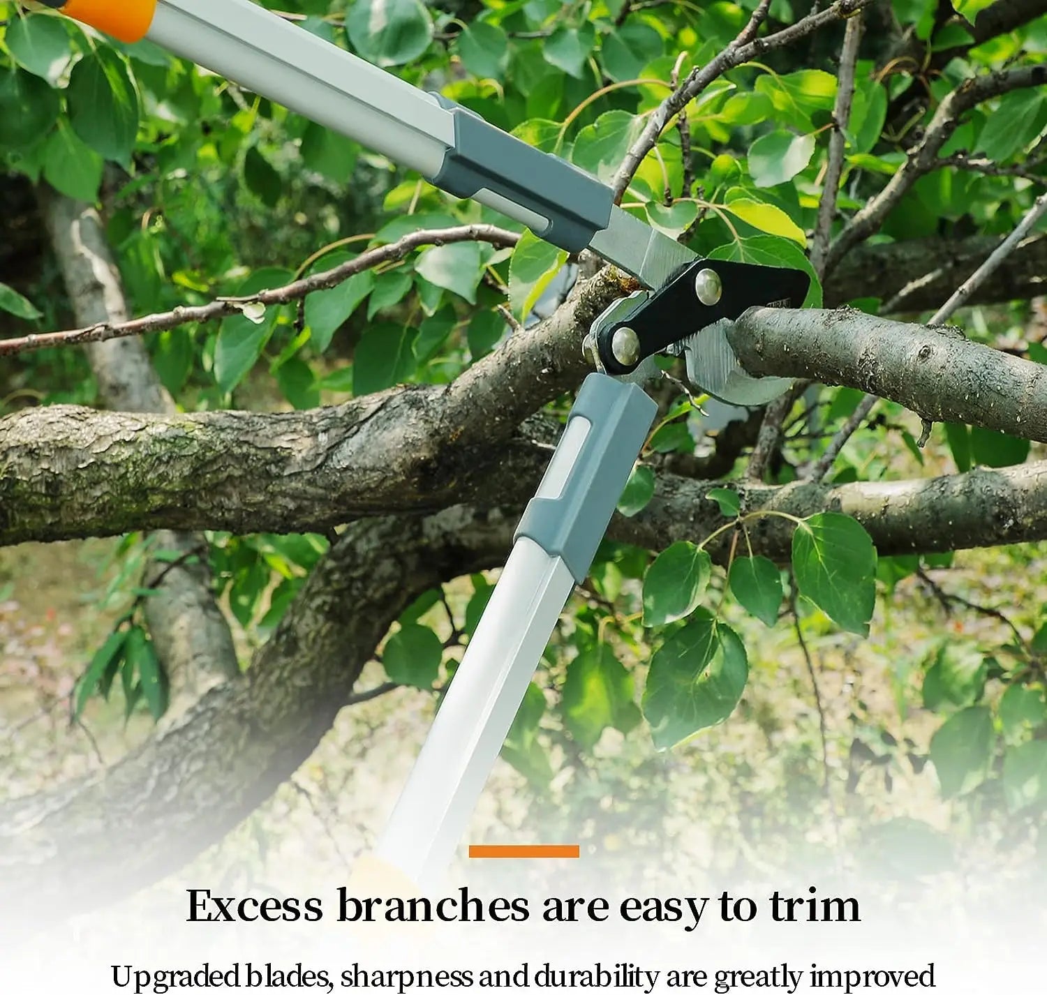Ratchet Long-Handle Loppers Heavy-Duty Pruning Shears for Coarse Branches Garden, Bonsai & Orchard