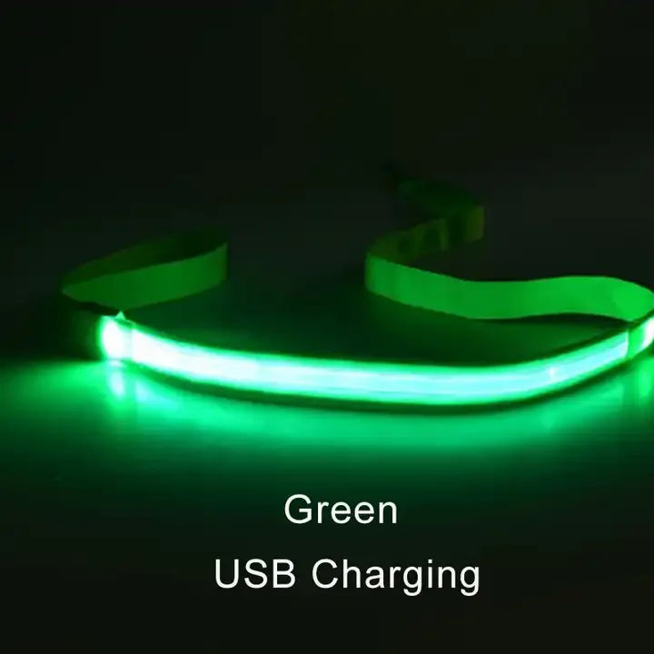 LED Light-Up Dog Leash 47.2 in (120 cm) Luminous Rope Safety Lead for Night Walks