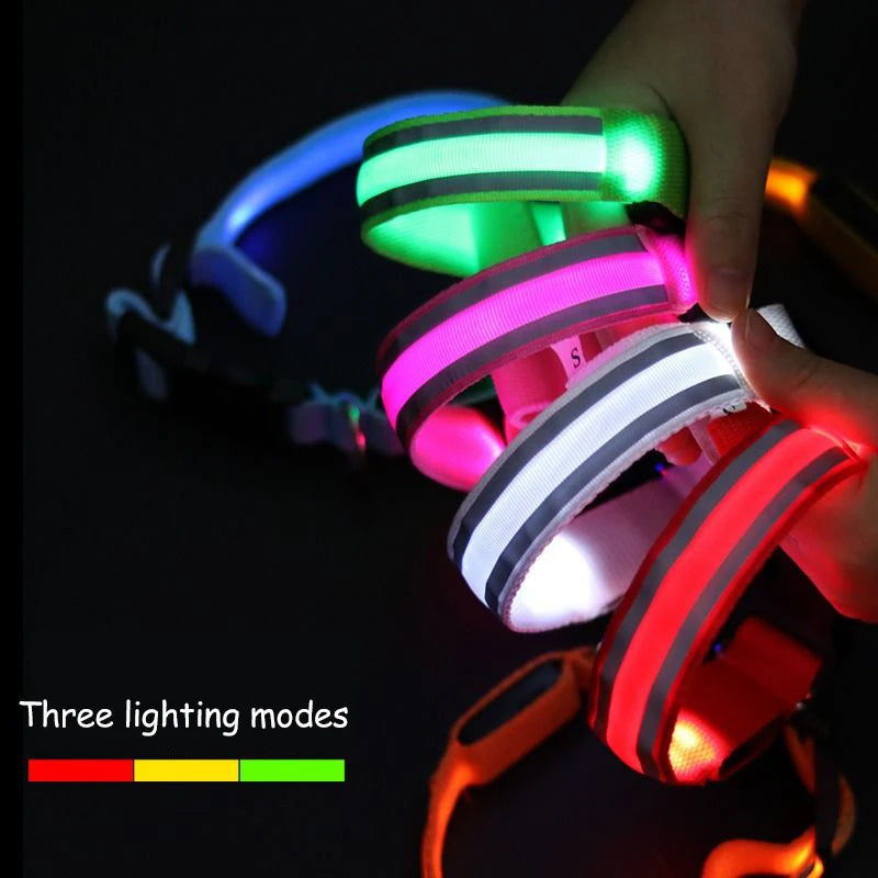 LED Luminous Nylon Dog Collar – Glow Reflective Safety Collar for Night Walks (XS-XL)