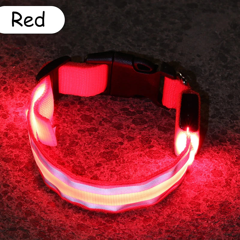 LED Luminous Nylon Dog Collar – Glow Reflective Safety Collar for Night Walks (XS-XL)