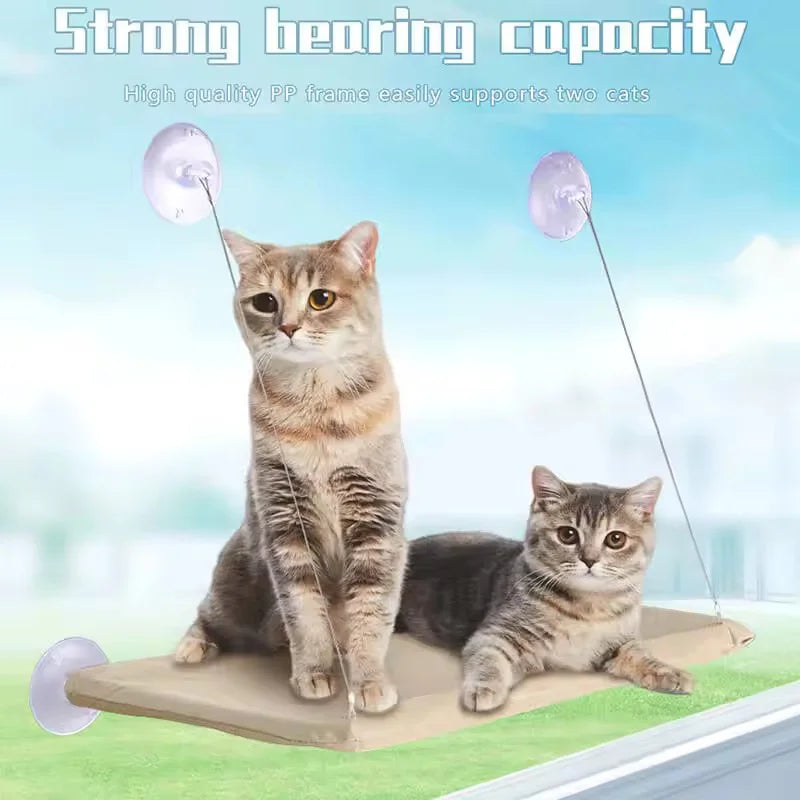 Window Cat Hammock with Suction Cups – 55 × 35 cm (21.7 × 13.8 in), Holds 20 kg (44 lb) – Space-Saving Indoor Window Perch, All-Season Cat Bed