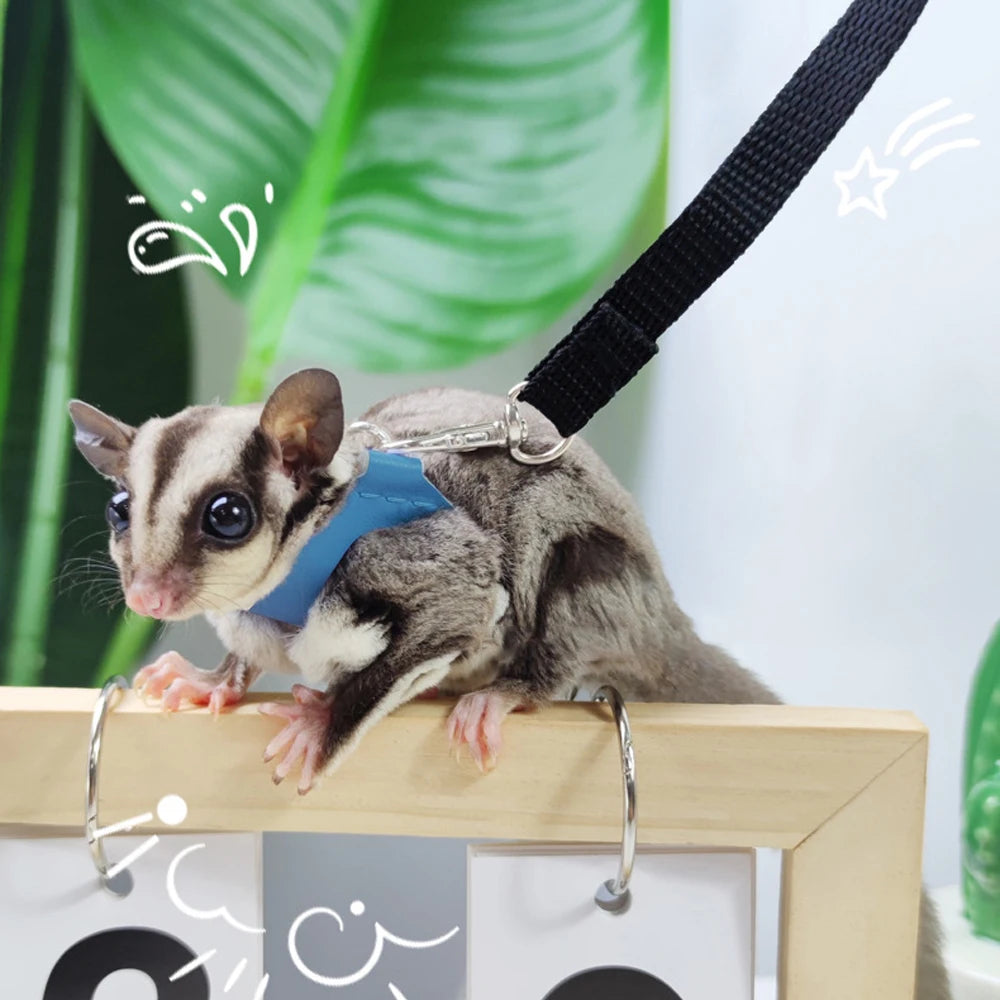 4-Pack Small Pet Harness and Leash Set - Escape-Proof Adjustable Collar for Hamsters, Sugar Gliders, Squirrels