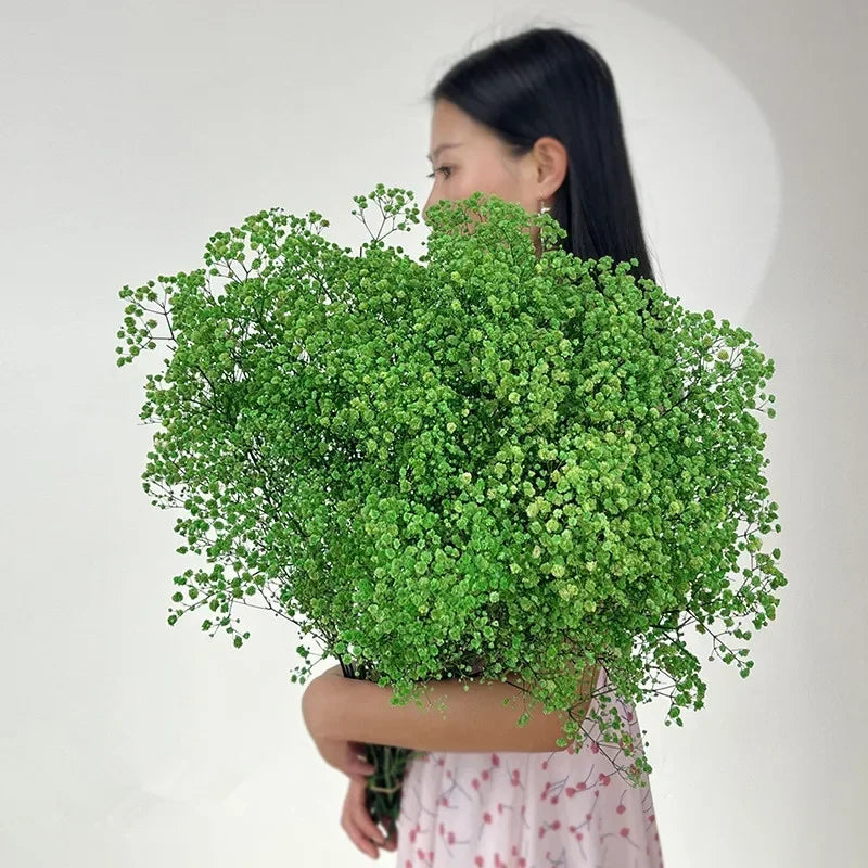 100g (3.5 oz) Dried Baby's Breath Gypsophila Bouquet - Preserved Boho Floral Home & Wedding Decor