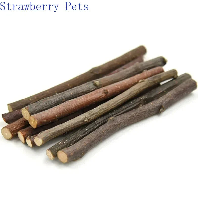 Natural Apple Wood Chew Sticks for Small Pets 5/10/40 Pack - Hamster Rabbit Chinchilla Squirrel Parrot Dental Toy