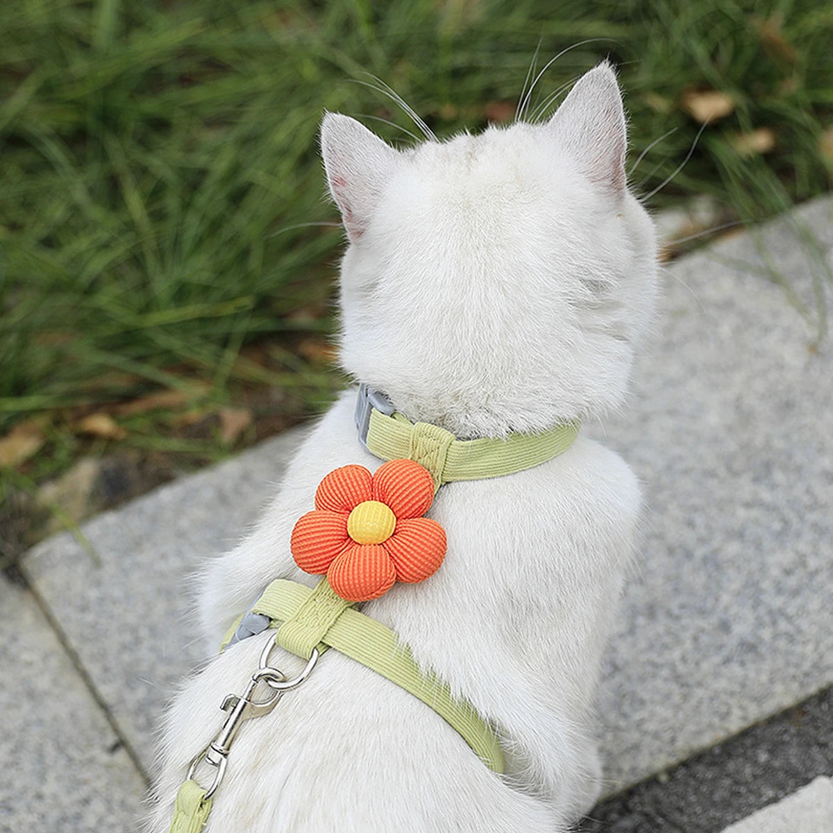 Adjustable Breathable Cat & Small Dog Harness with 120 cm (47 in) Leash, Escape-Proof Chest Strap S/M