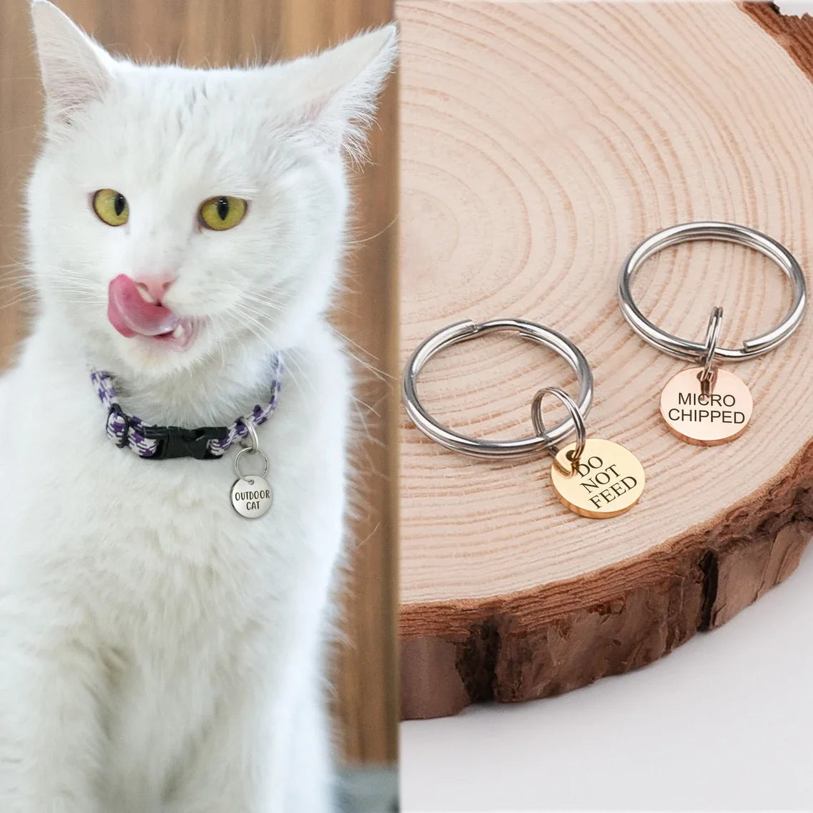 Personalized Mini Pet ID Tag - Engraved Stainless Steel Nameplate for Cat Puppy Kitten - Anti-Lost Custom Pet Tag with Quick Release Ring
