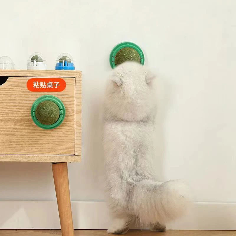 Catnip Wall Stick-On Ball Toy for Cats — Adhesive Cat Grass Treat Ball for Digestion & Scratching