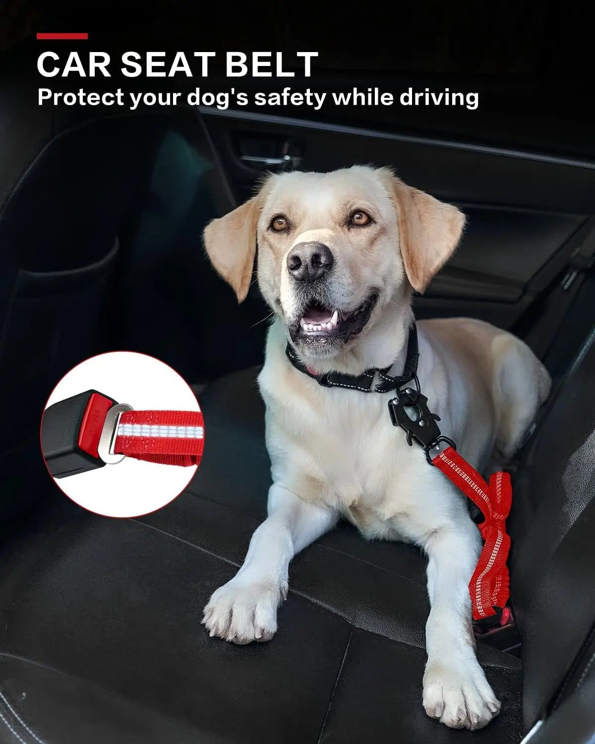 Tactical Heavy-Duty Dog Leash, 4–6 ft (120–180 cm) Shock-Absorbing Bungee with 2 Padded Handles, Metal Carabiner & Seatbelt Clip