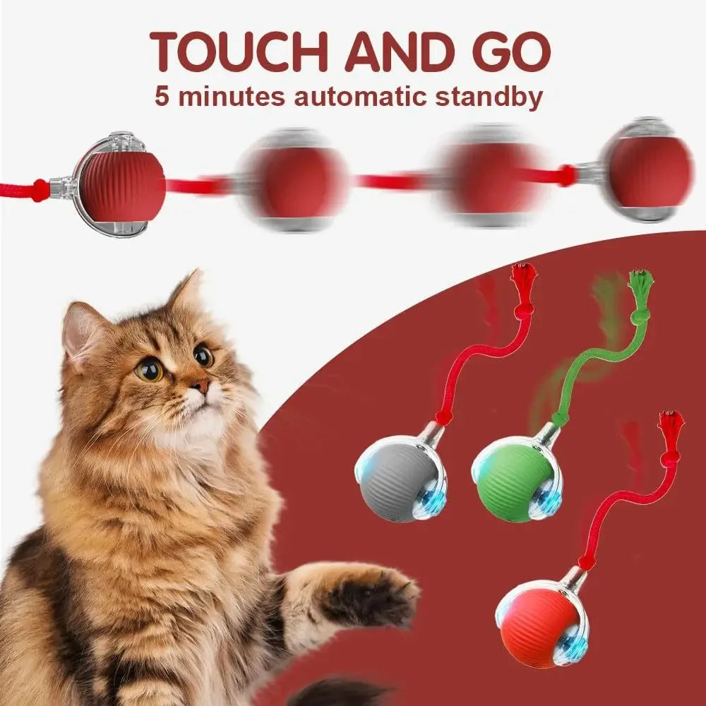 Rechargeable Automatic Rolling Cat Ball - Interactive Smart Toy for Cats & Kittens (2.36 x 2.75 in / 60 x 70 mm)