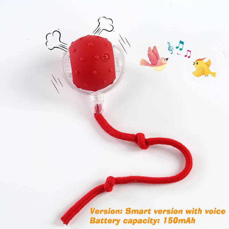 Rechargeable Interactive Rolling Ball Toy for Dogs & Cats — Automatic Smart Obstacle-Avoiding Pet Play Ball