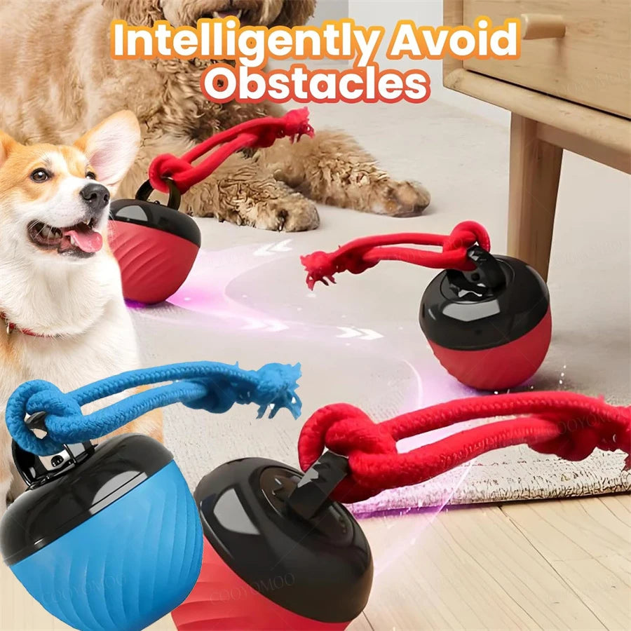 USB Rechargeable Interactive Bouncing Pet Ball