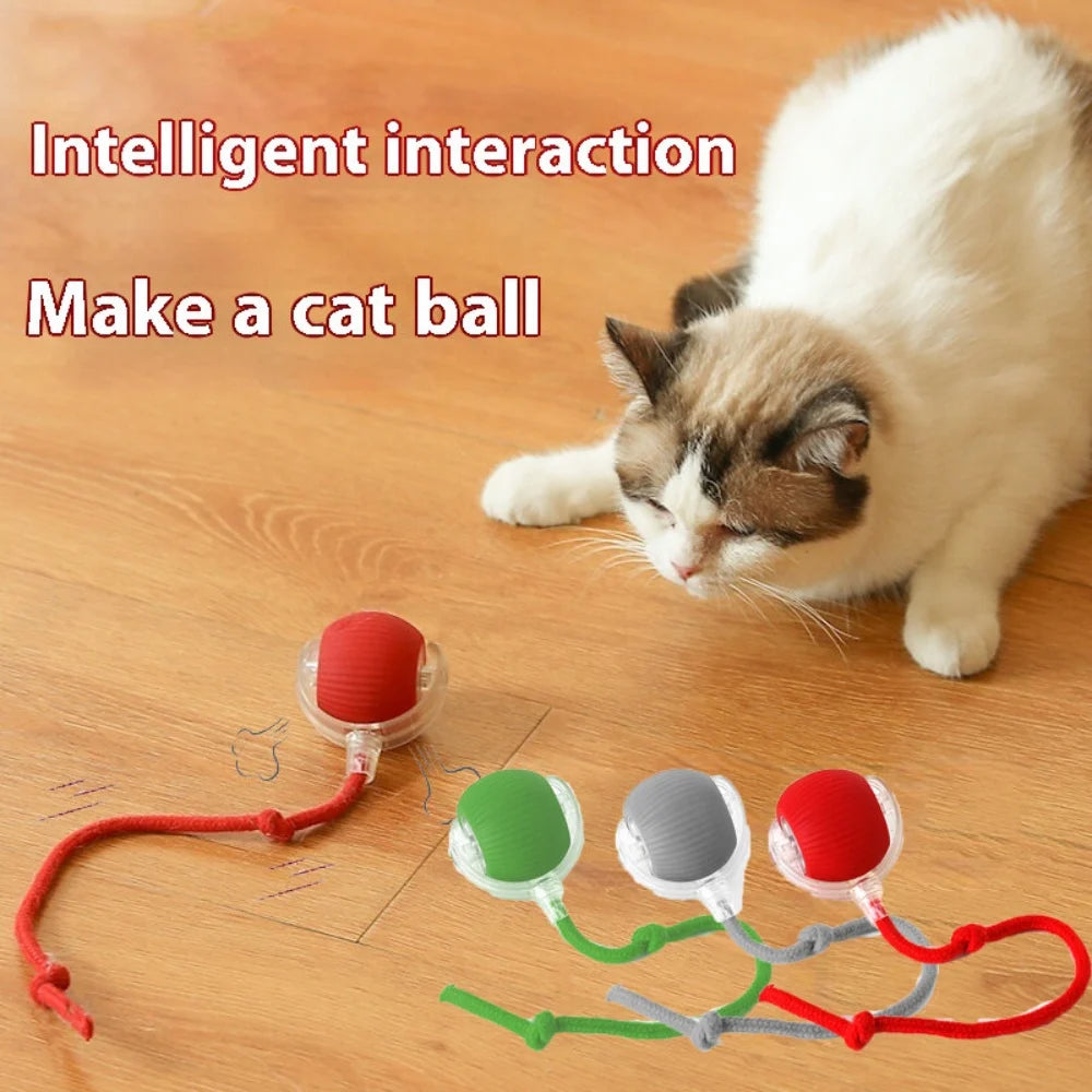 USB Rechargeable Smart Rolling Cat Ball Toy with Tail Lamp – Interactive Automatic Motion Toy for Cats & Small Dogs
