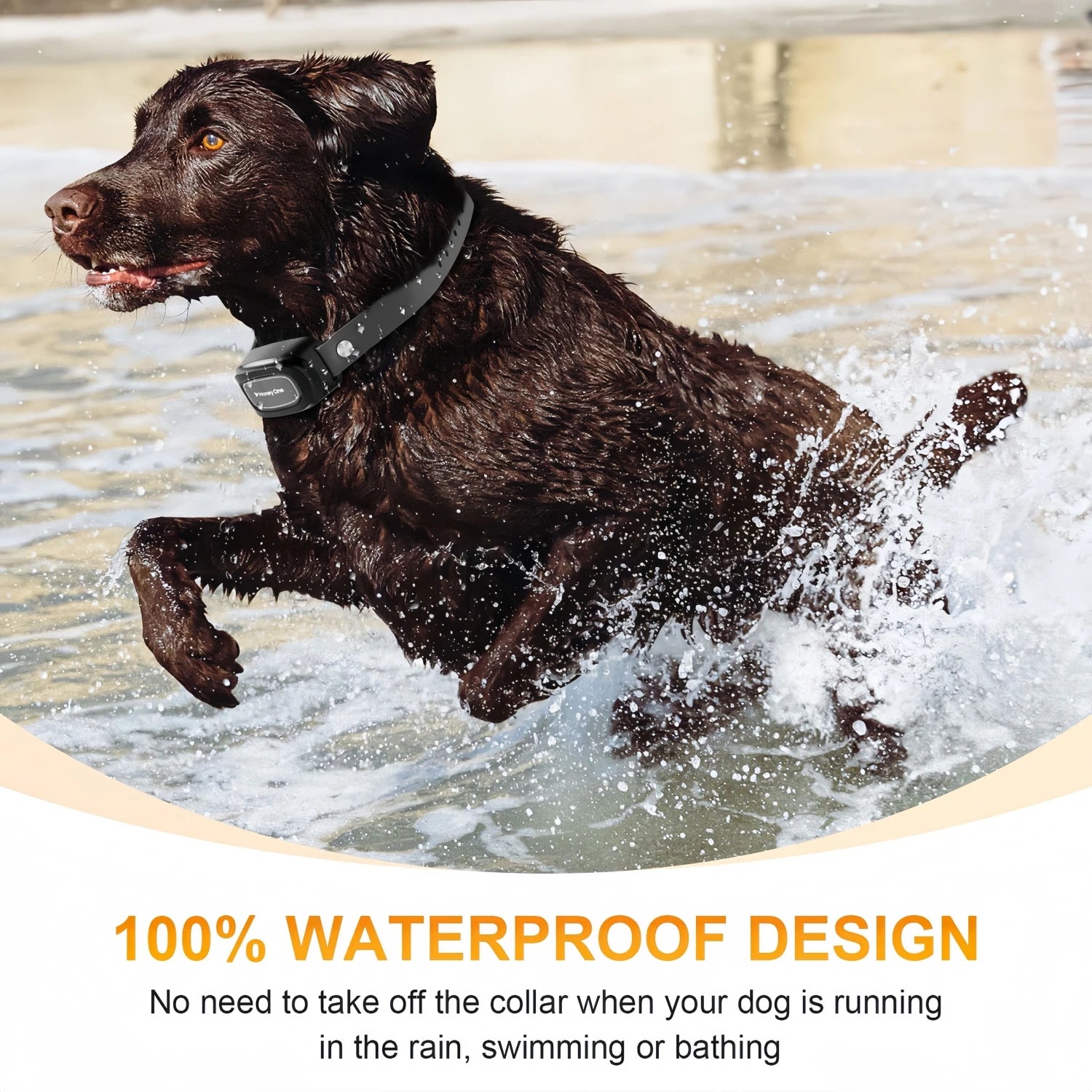Waterproof Remote Dog Training Collar — Beep, Vibration & Shock, 3,300 ft Range (1,000 m), Adjustable for 8–150 lb (3.6–68 kg) Dogs