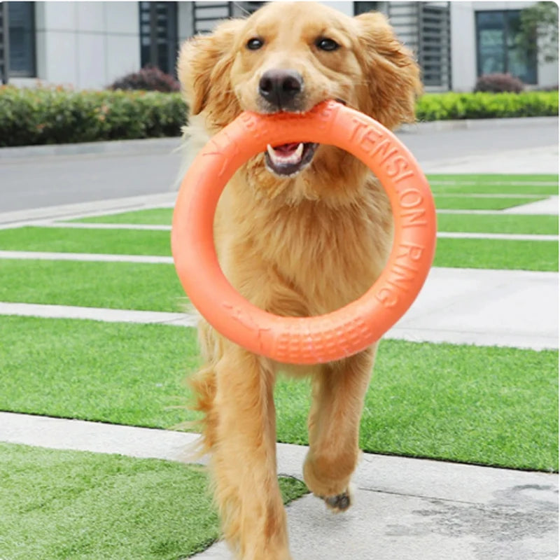 Orange Dog Flying Disc & Training Puller — Durable EVA Chew-Resistant Interactive Toy for Puppies to Large Dogs