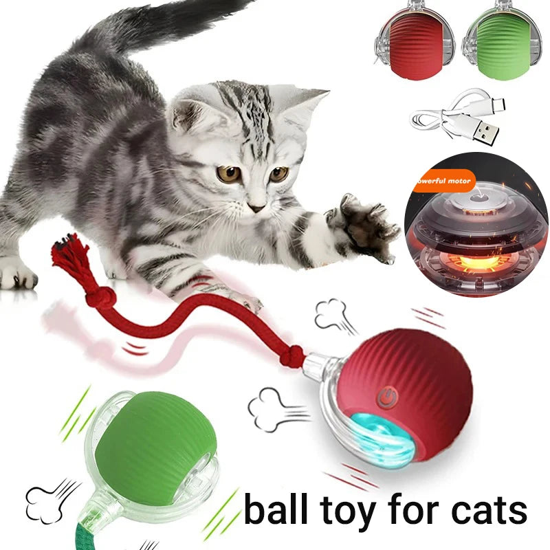 Rechargeable Automatic Rolling Cat Ball - Interactive Smart Toy for Cats & Kittens (2.36 x 2.75 in / 60 x 70 mm)