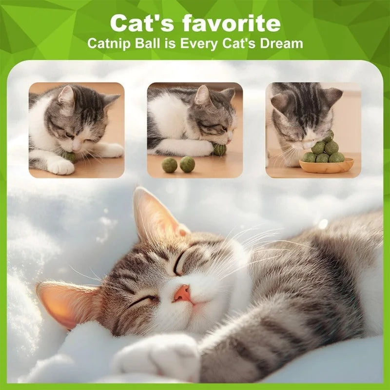 Natural Catnip Balls 5/10/20-Pack Lickable Kitten Toy for Cats