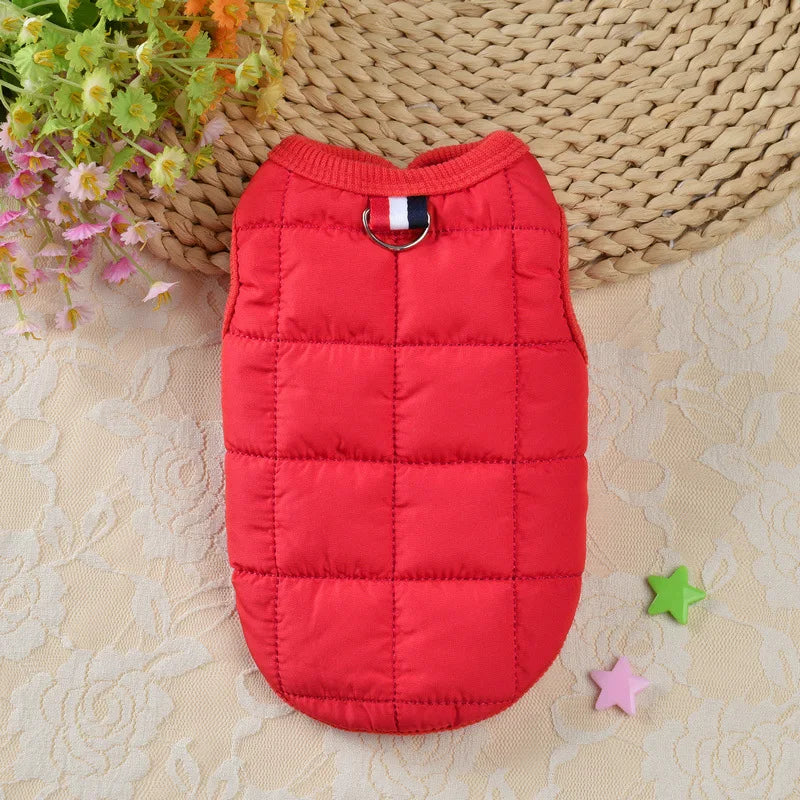 Winter Padded Windproof Dog Coat for Small Dogs - Chihuahua & Puppy Jacket