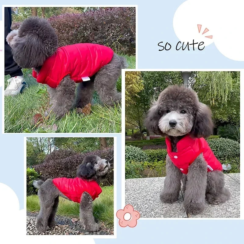 Reversible Winter Dog Coat - Warm Cotton-Down Vest for Small & Medium Dogs, Chihuahua French Bulldog Yorkie