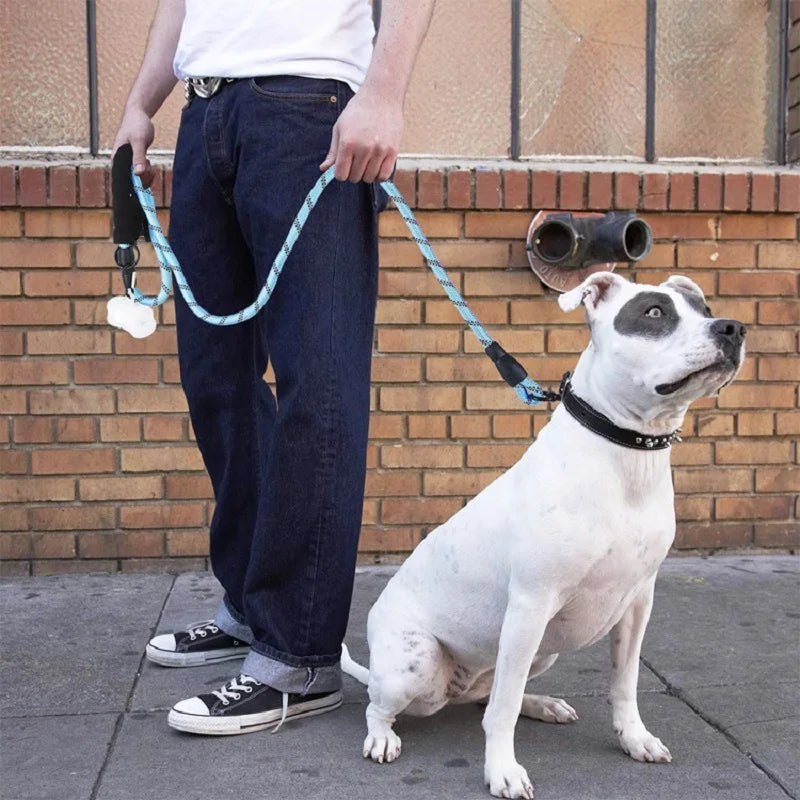 Reinforced Nylon Dog Leash with Padded Handle - Strong Leash for Small, Medium & Large Dogs (120/150/200/300 cm | 4/5/6.6/9.8 ft)