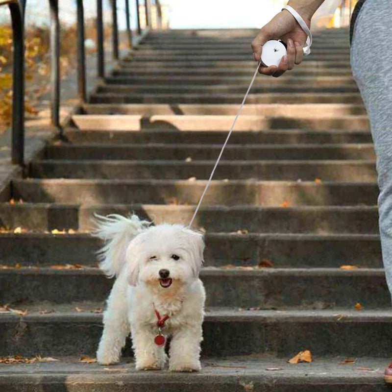 Retractable Pet Leash 2M (6.6ft) Automatic Dog & Cat Leash with Quick-Release