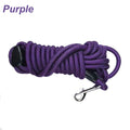 Heavy-Duty Nylon Dog Training Leash – 5m / 10m / 15m (16 / 33 / 49 ft) Long Recall & Agility Lead for Medium to Large Dogs