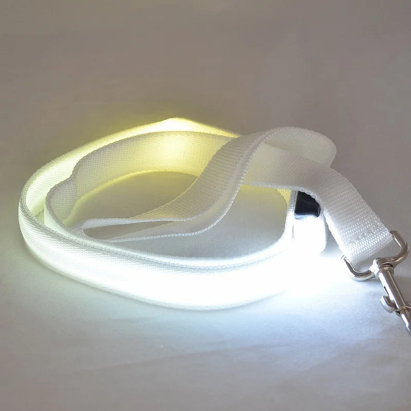 LED Light-Up Dog Leash 47.2 in (120 cm) Luminous Rope Safety Lead for Night Walks