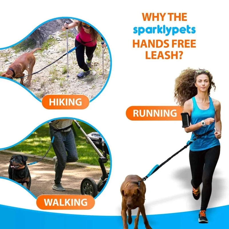 Hands-Free Double Elastic Reflective Dog Leash — Retractable Running Waist Belt, Adjustable Waist 27.6–47.2 in (70–120 cm), Leash 63–102 in (160–260 cm)