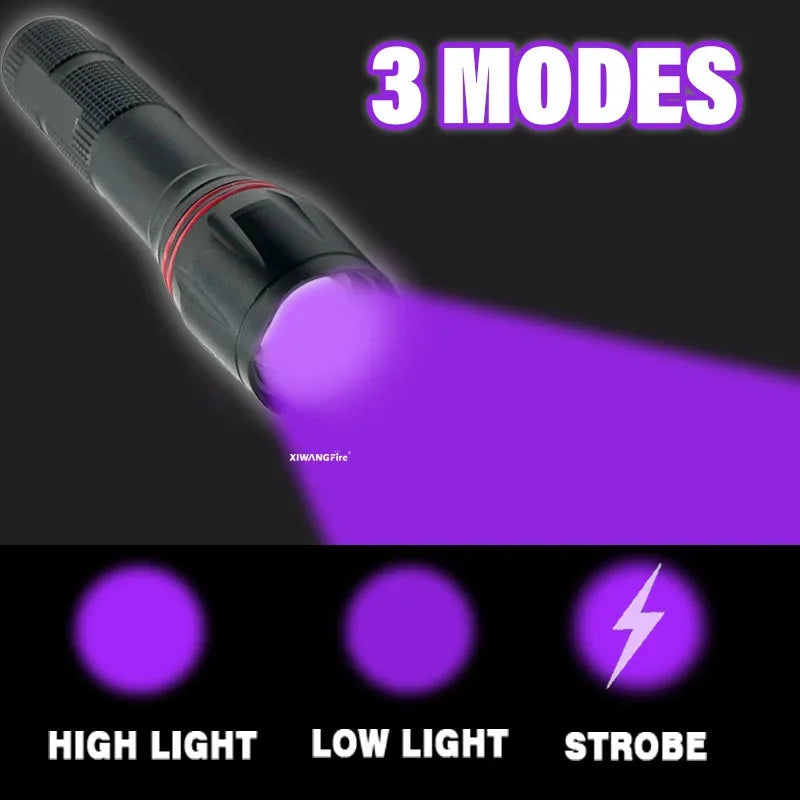 395nm UV LED Flashlight Rechargeable Zoomable - Portable Pet Urine & Bed Bug Detector, Money and Scorpion Finder