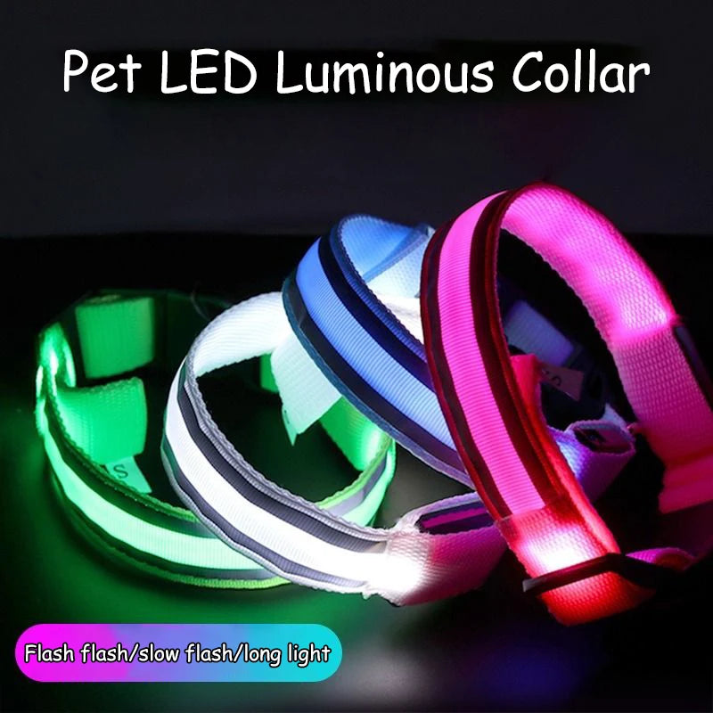 LED Luminous Nylon Dog Collar – Glow Reflective Safety Collar for Night Walks (XS-XL)