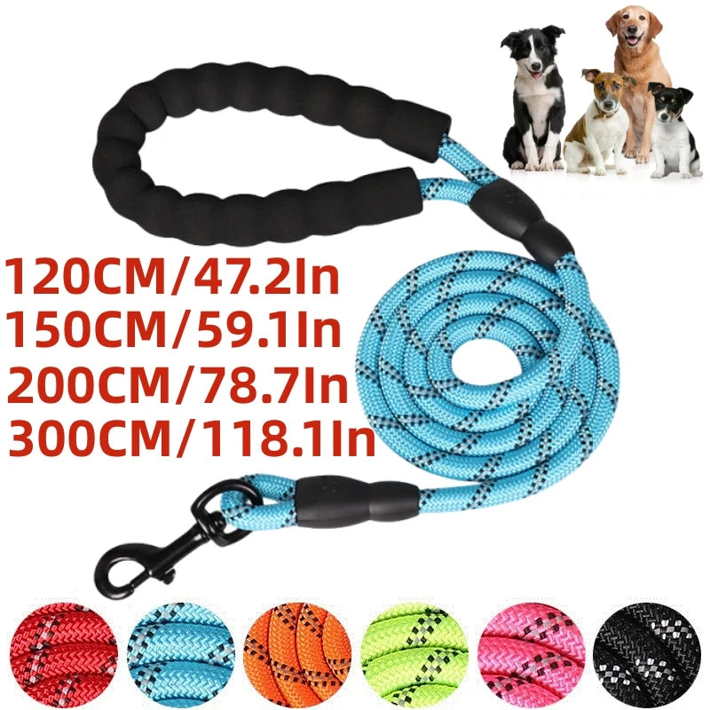 Reinforced Nylon Dog Leash with Padded Handle - Strong Leash for Small, Medium & Large Dogs (120/150/200/300 cm | 4/5/6.6/9.8 ft)