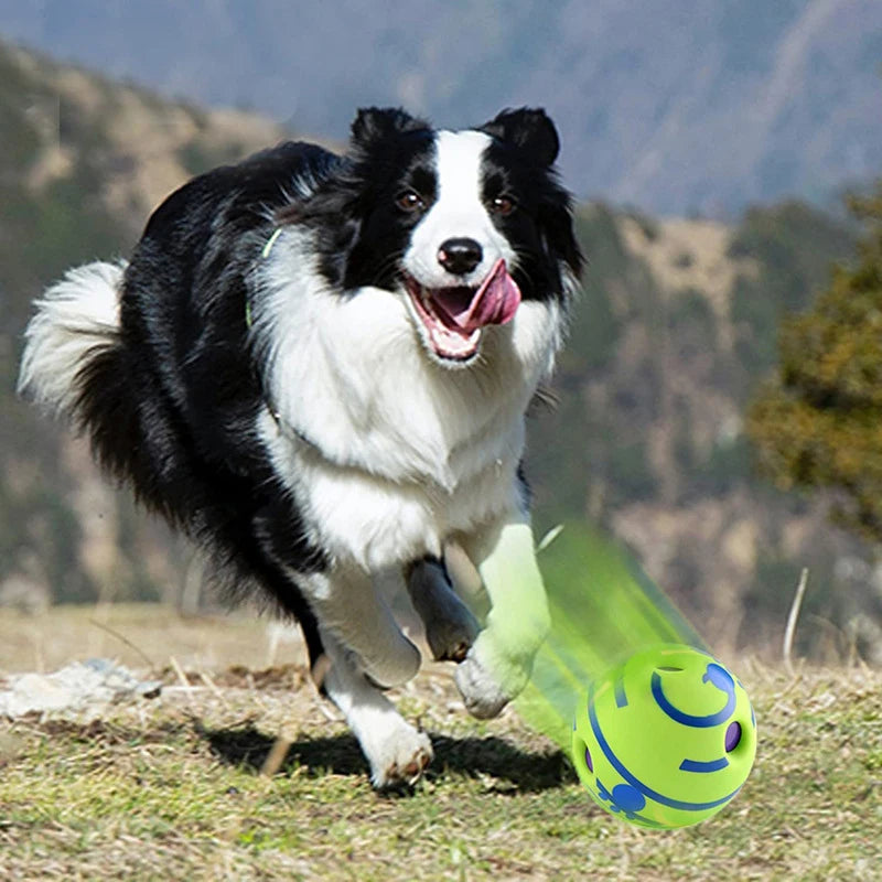 Interactive Giggle Glow Dog Ball — No-Battery Play Toy for Small & Large Dogs