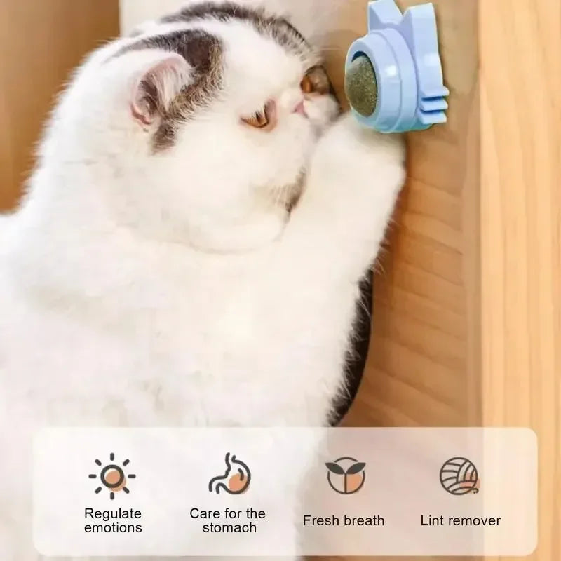 Catnip Ball Cat Toy – Bite-Resistant Self-Play Chew Toy for Kittens & Cats