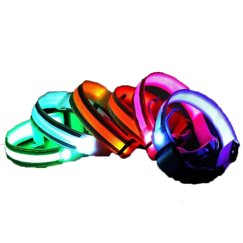 LED Luminous Nylon Dog Collar – Glow Reflective Safety Collar for Night Walks (XS-XL)