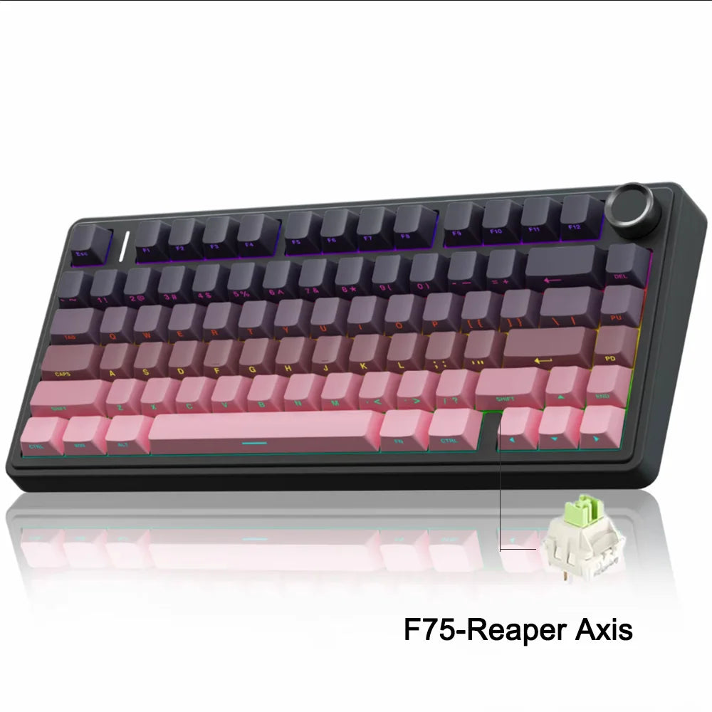 75% RGB Mechanical Gaming Keyboard — 2.4G Wireless, Bluetooth & Wired USB, Hot-Swap Switches, Gasket Mount, OEM Profile