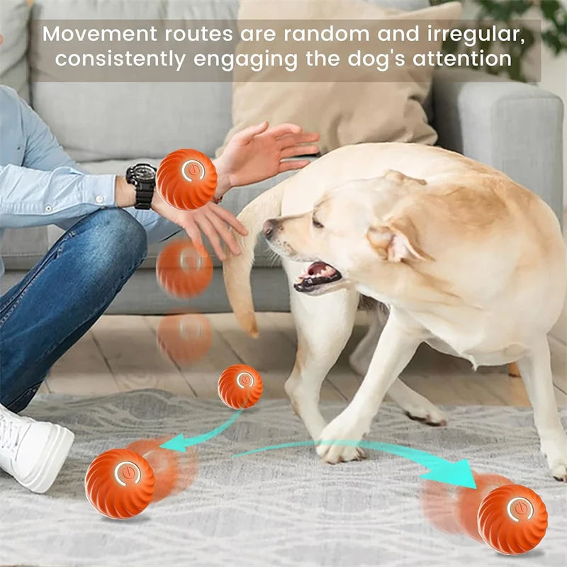 Automatic Interactive Pet Ball USB Rechargeable Moving & Bouncing Toy for Dogs & Cats