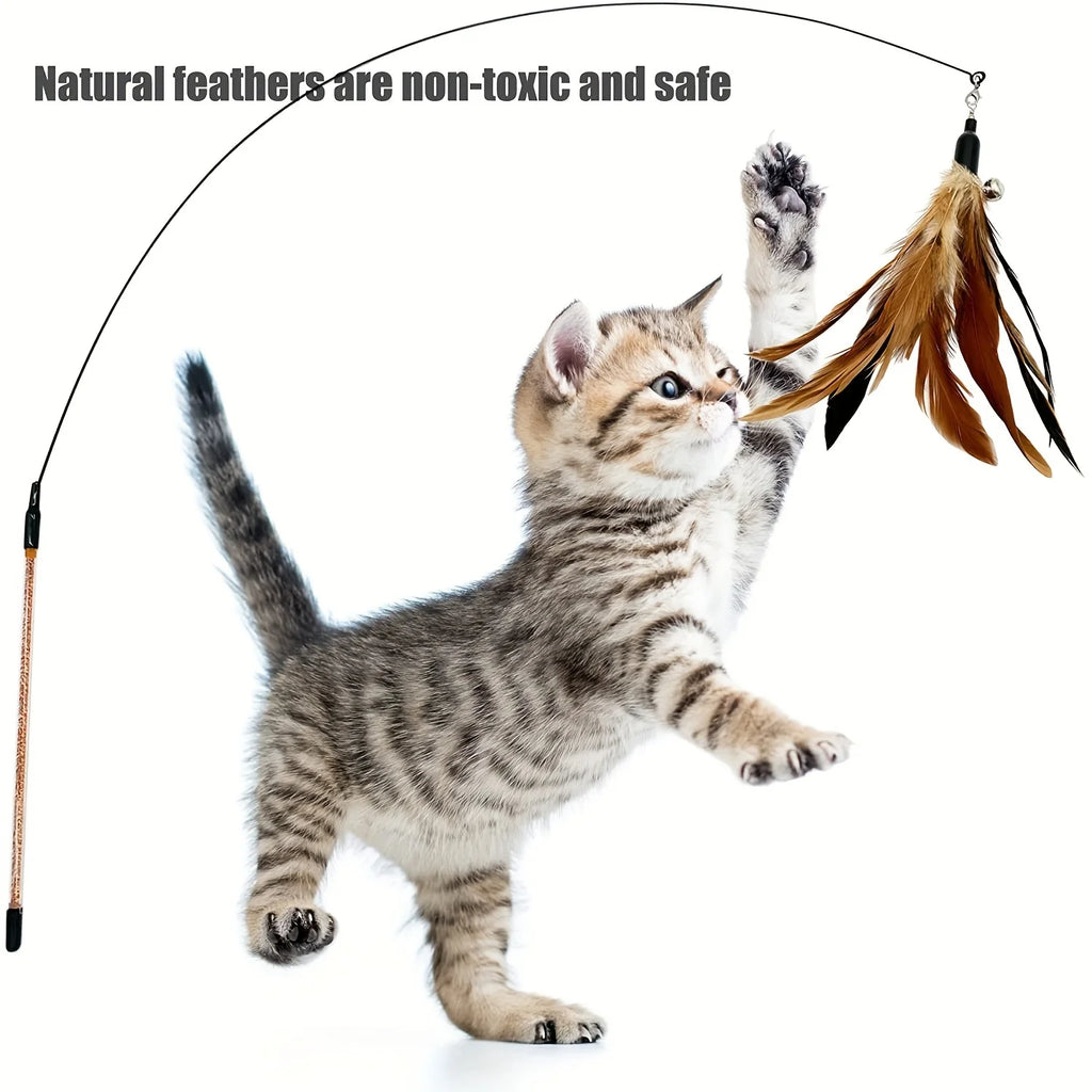 6-Pack Natural Feather Replacement Refills for Cat Wand Toys – Interchangeable Feather Teasers for Indoor Cats