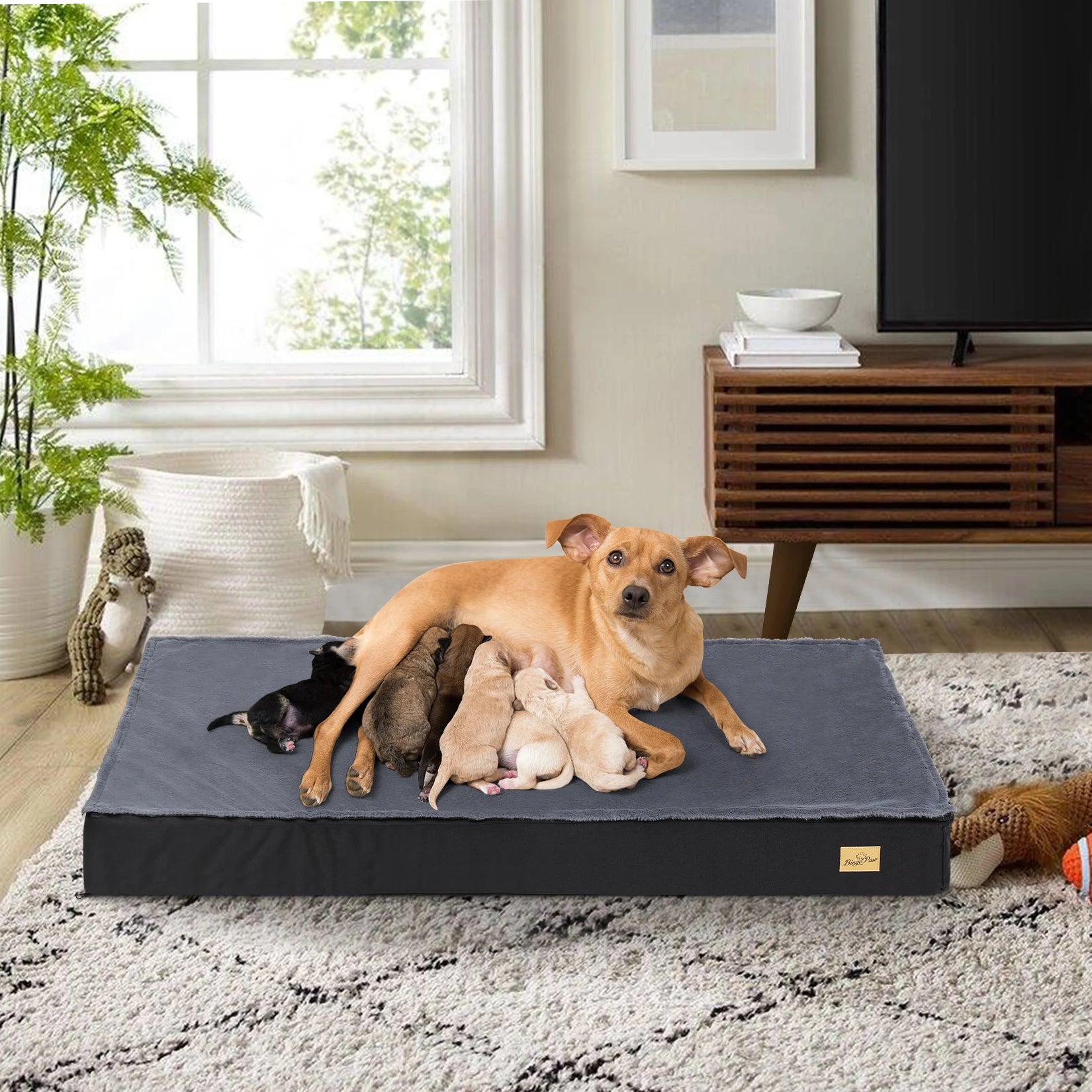 Orthopedic Dog Bed for Large Dogs – Waterproof, Non-Slip, Machine Washable (Sizes S–2XL)