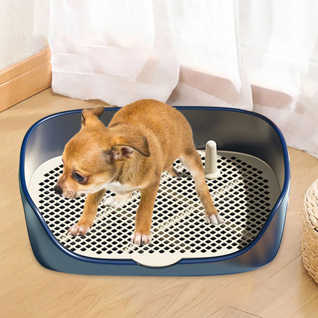 Portable Dog & Cat Training Potty with Splash Guard 15.75 x 11.81 x 4.33 in (40 x 30 x 11 cm) - Indoor/Outdoor Litter Box Trainer, Non-Slip Detachable Grid