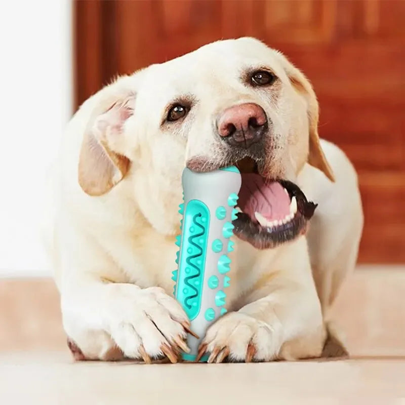 Dog Dental Chew Toy - TPR Silicone Tooth Cleaning Stick for Puppy Teething & Fresh Breath, 5 x 15 cm (2 x 5.9 in)