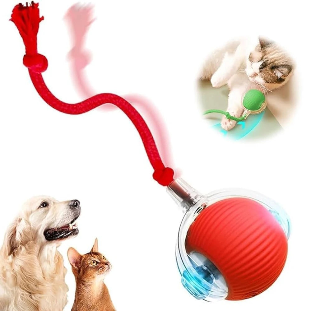 Interactive Automatic Cat Toy Ball with Motion Sensor — USB-C Rechargeable, Soft Silicone Shell