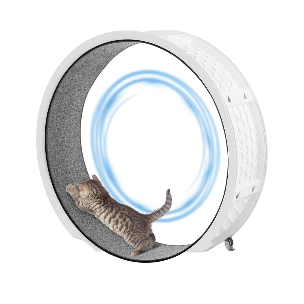 38 in (96 cm) Eco-Friendly Indoor Cat Exercise Wheel Treadmill with Built-In Pedometer — Fast 10-Min Install, 50 lb (23 kg) Capacity