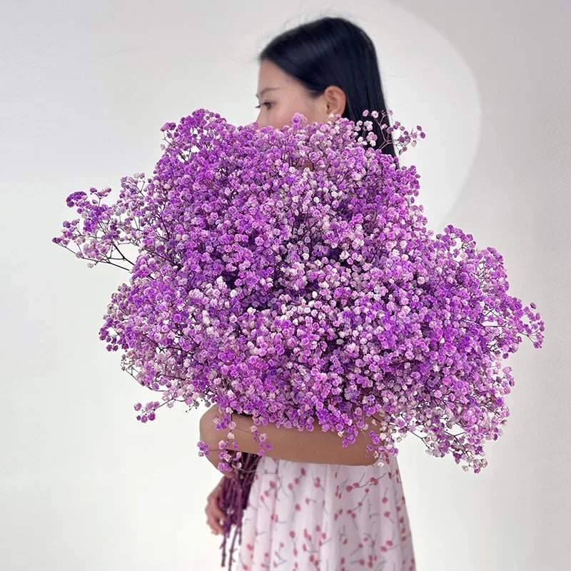 100g (3.5 oz) Dried Baby's Breath Gypsophila Bouquet - Preserved Boho Floral Home & Wedding Decor